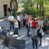 IMG 5754